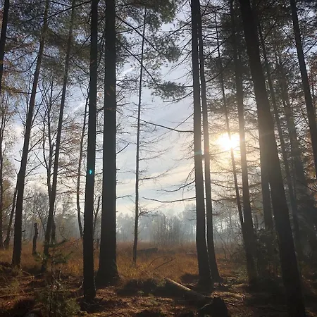 City-apparte Boarding -studios- Dein Flexibles Zuhause In *