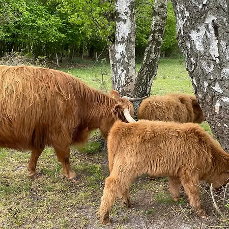 Apartmán City-apparte Boarding -studios- Dein Flexibles Zuhause In Gronau (Westfalen)