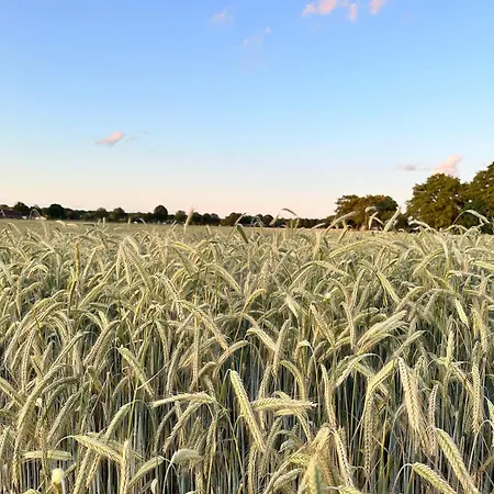 City-apparte Boarding -studios- Dein Flexibles Zuhause In Apartmán Gronau (Westfalen)