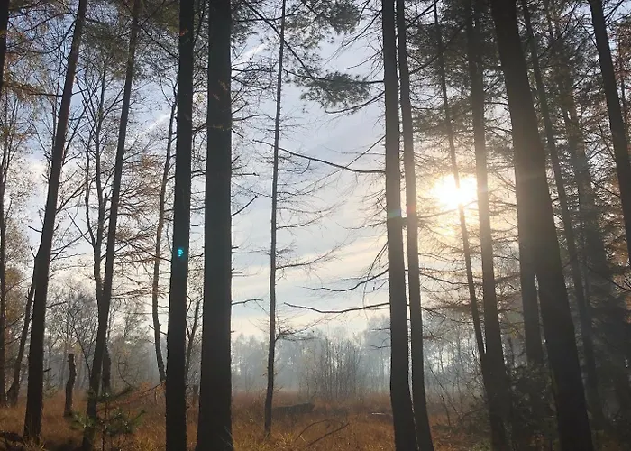 City-apparte Boarding -studios- Dein Flexibles Zuhause In *