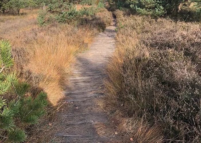 公寓 City-apparte Boarding -studios- Dein Flexibles Zuhause In