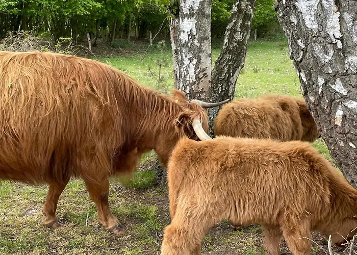 Appartement City-apparte Boarding -studios- Dein Flexibles Zuhause In Gronau (Westfalen)