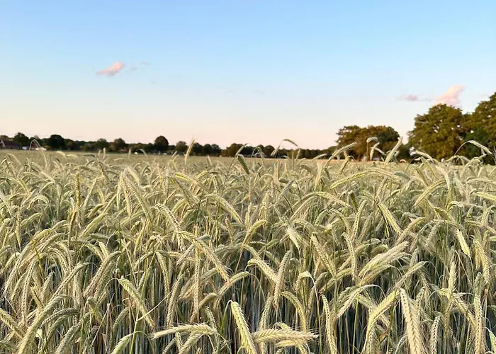 City-apparte Boarding -studios- Dein Flexibles Zuhause In Appartement Gronau (Westfalen)